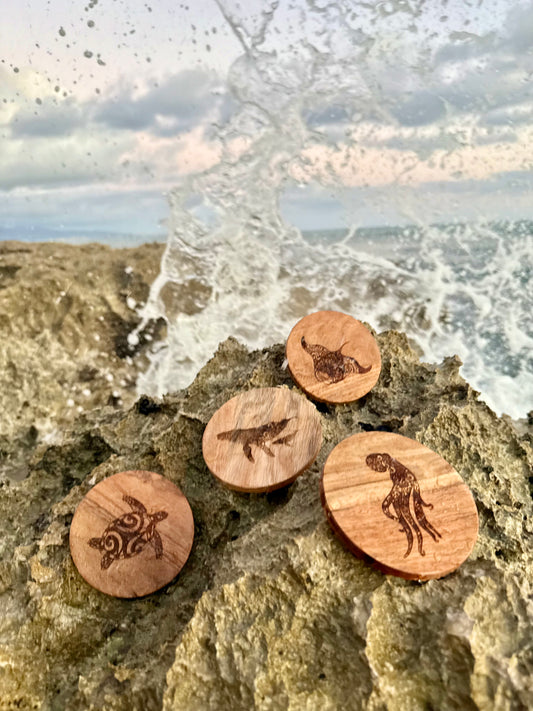 Wave Whispers Acacia Coasters